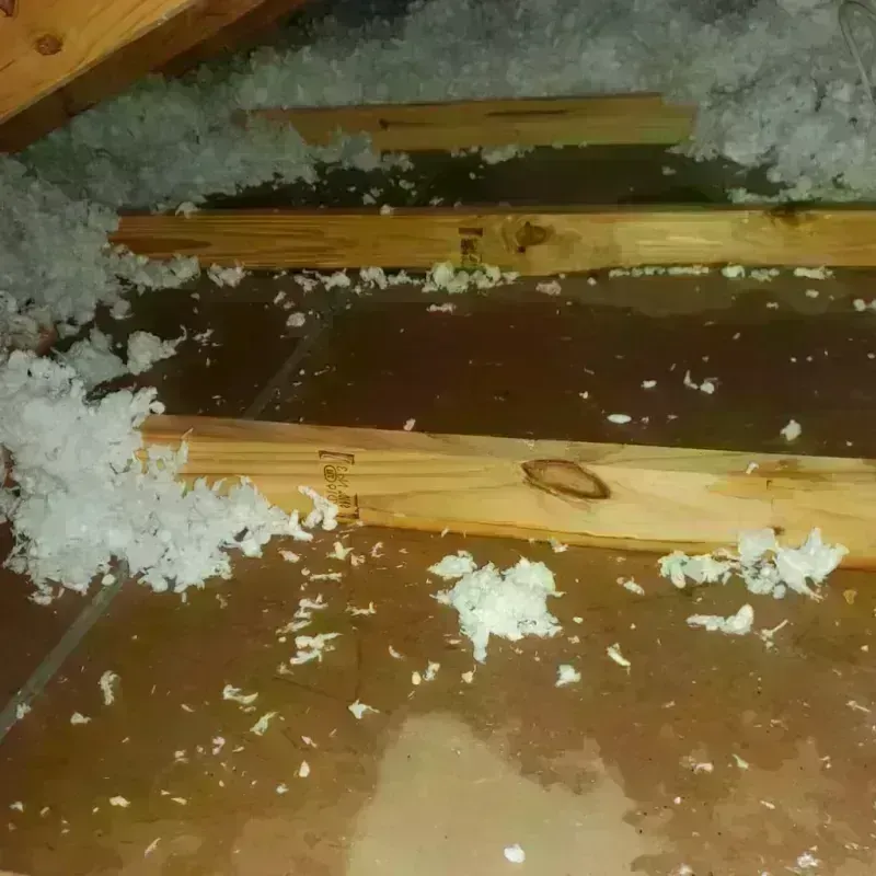 Attic Water Damage in Monument Hills, CA